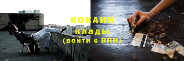 дмт Абаза