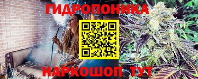 шишки Волжский