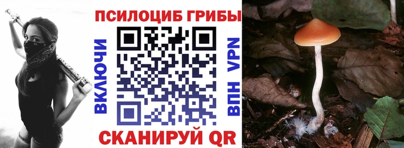 Галлюциногенные грибы прущие грибы ОМГ ОМГ вход Химки
