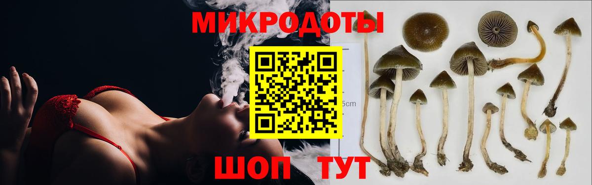 Галлюциногенные грибы Psilocybe  Вход с VPN  Химки  Галлюциногенные грибы ЛСД 